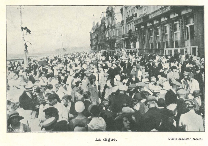 Vandeput (1932, pl. 209)