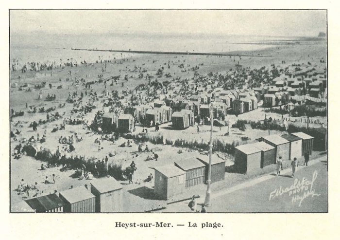 Vandeput (1932, pl. 210)