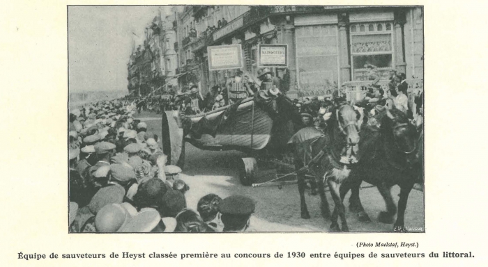 Vandeput (1932, pl. 212)