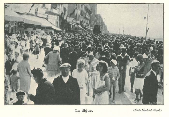 Vandeput (1932, pl. 213)