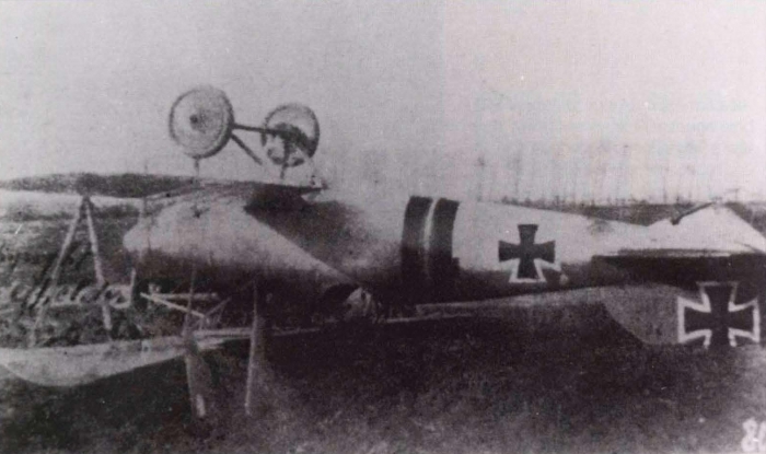 Ryheul (1997, fig. 162)