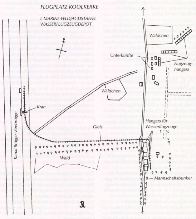 Ryheul (1997, fig. 163)