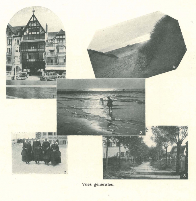 Vandeput (1932, pl. 225)