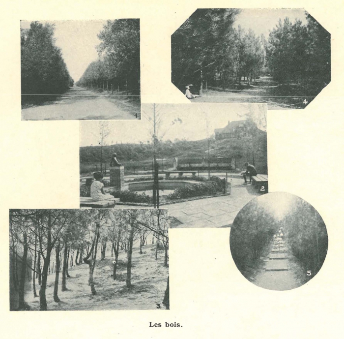 Vandeput (1932, pl. 231)