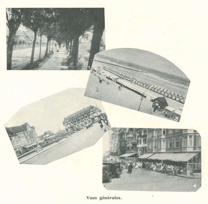 Vandeput (1932, pl. 233)