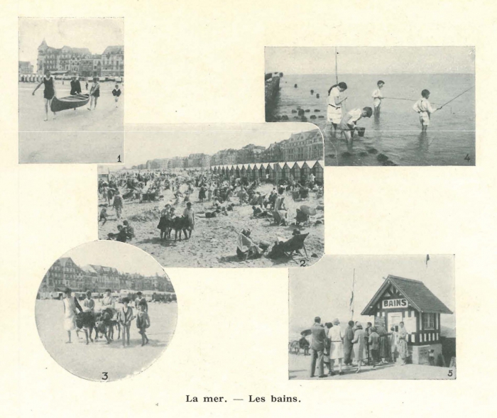 Vandeput (1932, pl. 235)