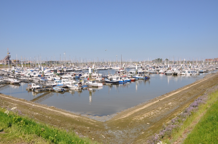 Portus Novus