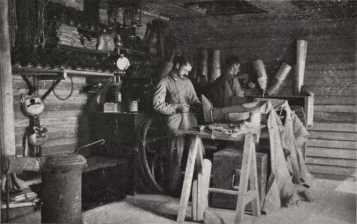 Thys (1922, figuur 50)