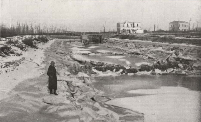 Thys (1922, figuur 304)