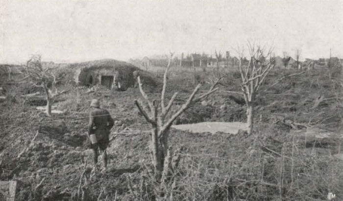 Thys (1922, figuur 326)