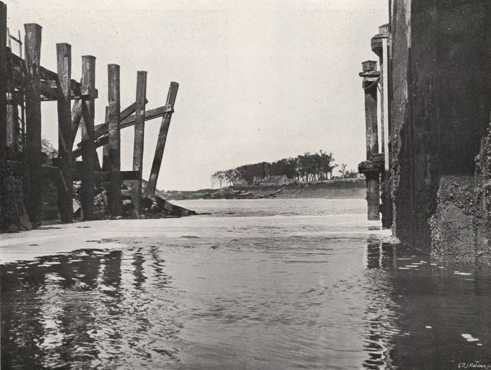 Thys (1922, figuur 437)