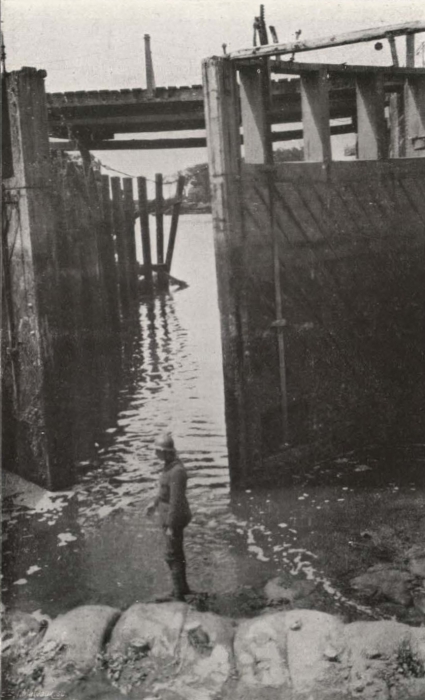 Thys (1922, figuur 439)