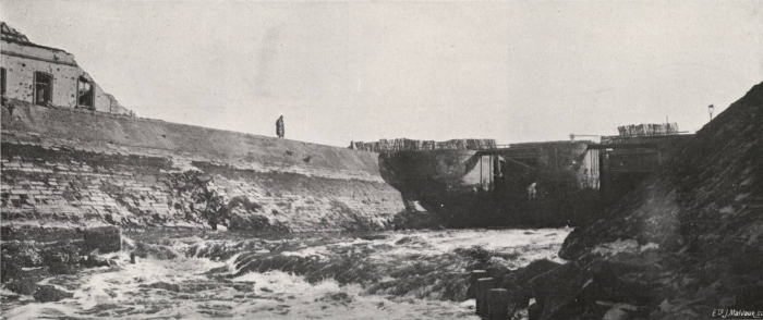 Thys (1922, figuur 450)