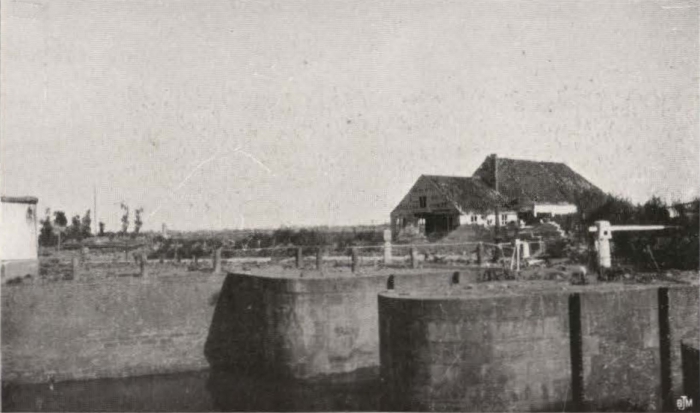 Thys (1922, figuur 451)