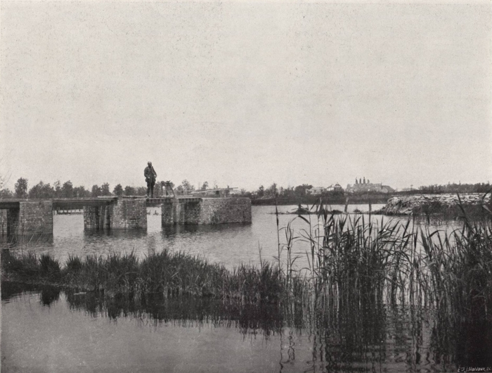 Thys (1922, figuur 462)