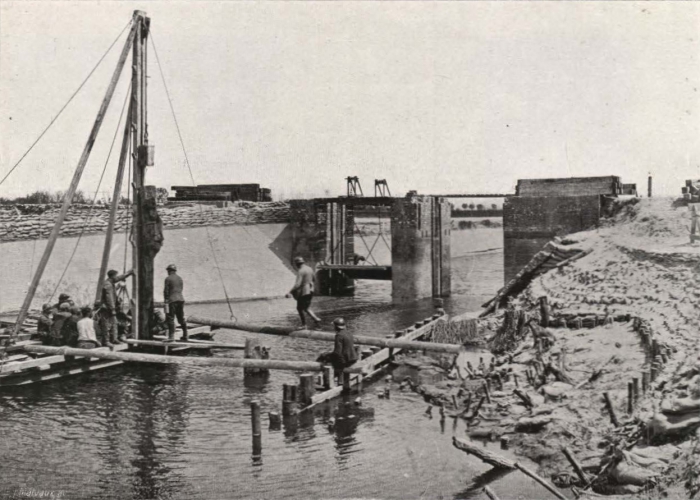 Thys (1922, figuur 468)