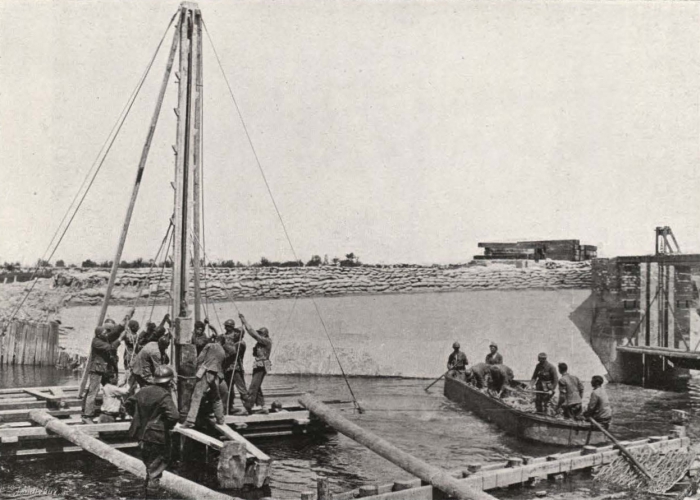 Thys (1922, figuur 469)