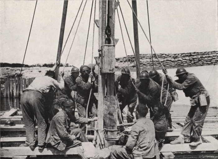 Thys (1922, figuur 470)