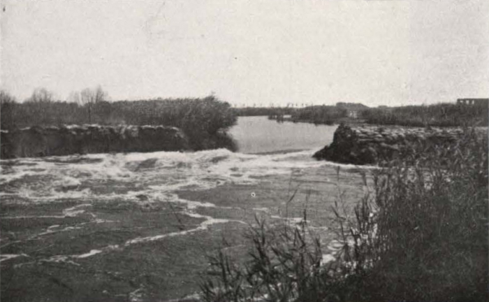 Thys (1922, figuur 473)