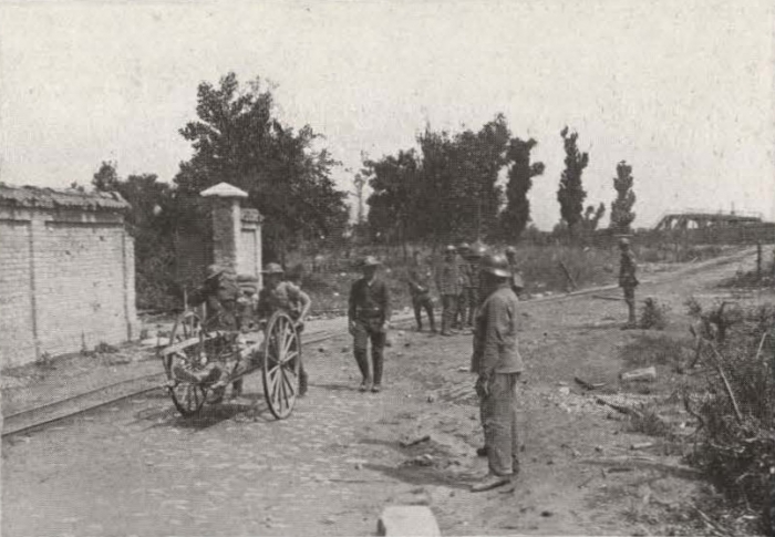 Thys (1922, figuur 483)