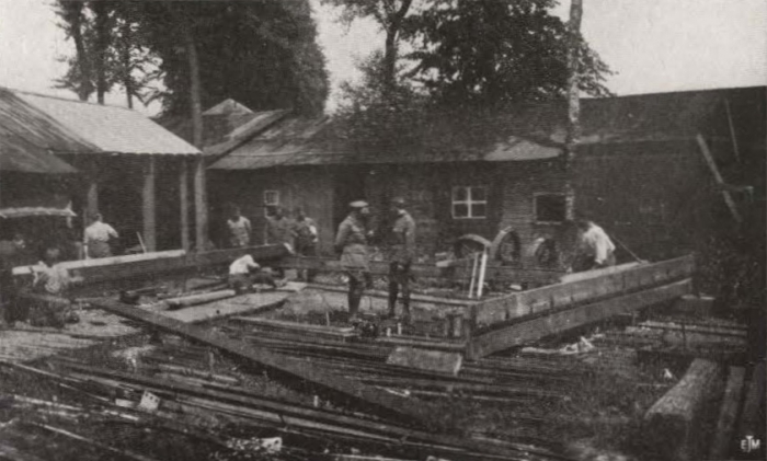 Thys (1922, figuur 516)
