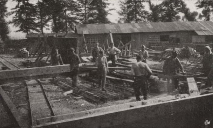 Thys (1922, figuur 517)