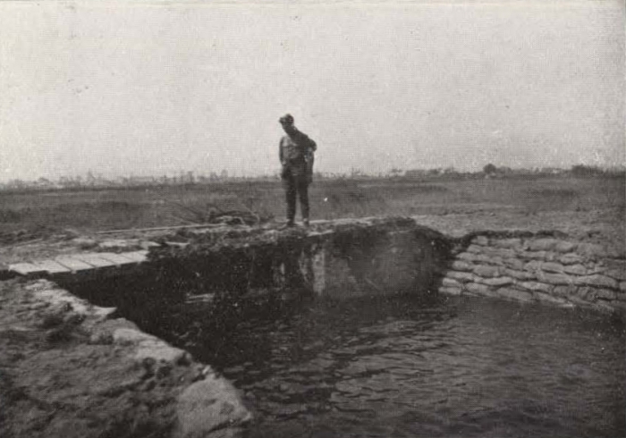 Thys (1922, figuur 526)
