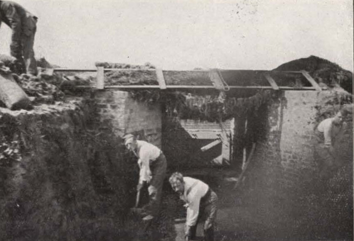 Thys (1922, figuur 527)