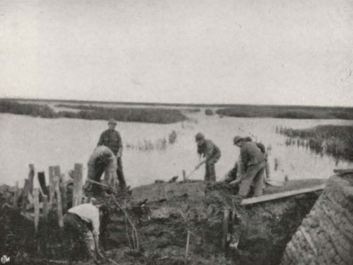 Thys (1922, figuur 528)