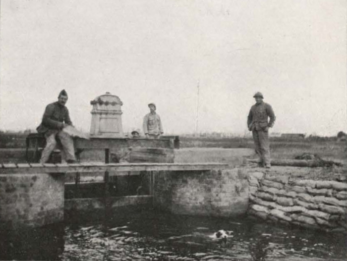 Thys (1922, figuur 529)