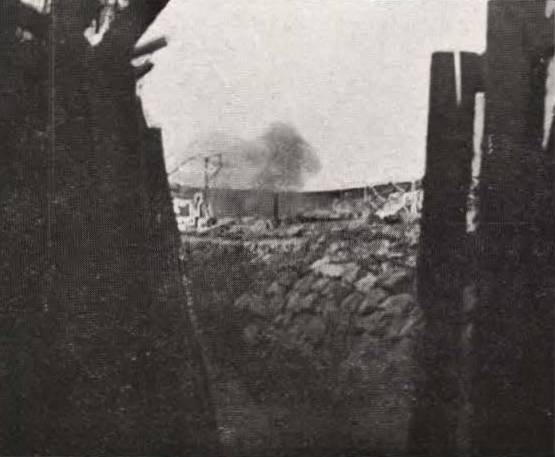 Thys (1922, figuur 541)