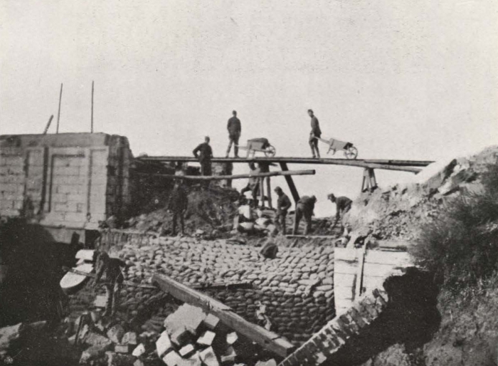 Thys (1922, figuur 547)
