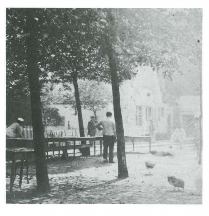 Van Caillie (1983, pl. 5)