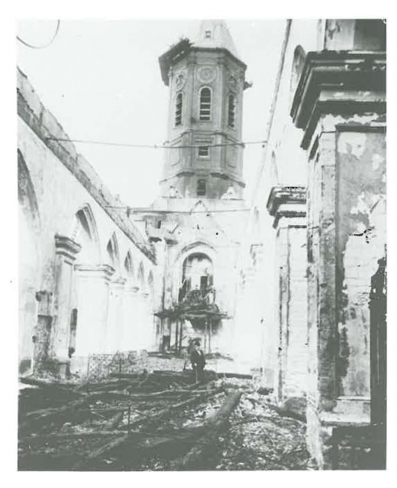 Van Caillie (1983, pl. 39)
