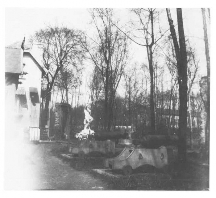 Van Caillie (1983, pl. 133)