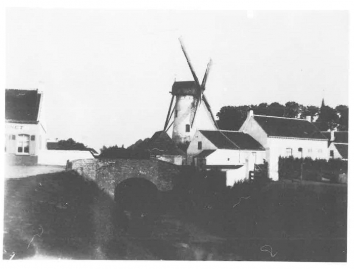 Van Caillie (1983, pl. 199)