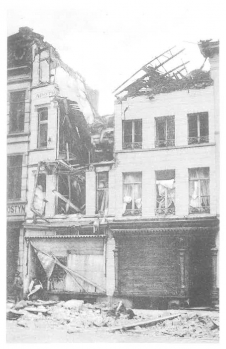 Van Caillie (1985, pl. 101)