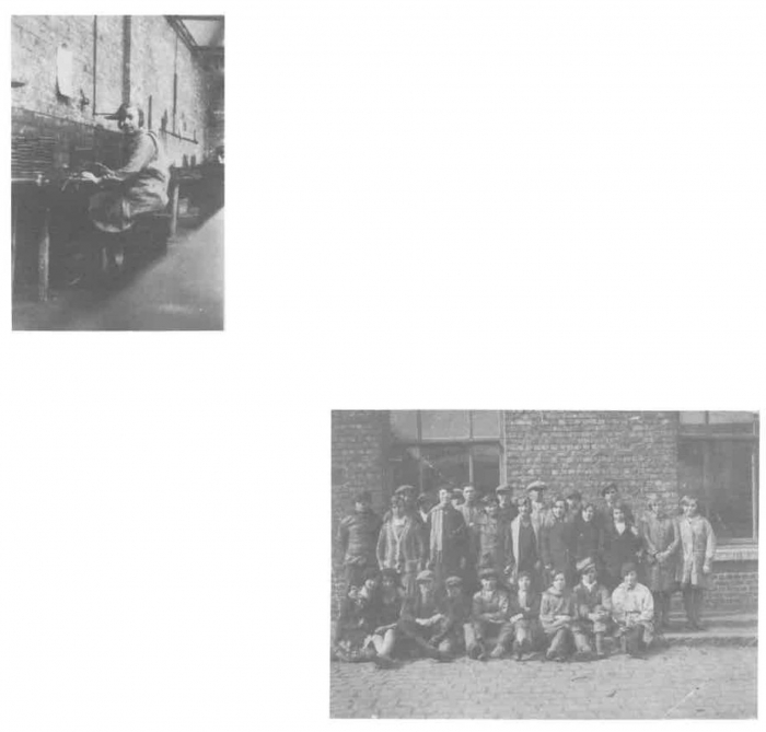 Van Caillie (1985, pl. 106)