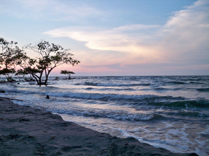 Cove�as 
