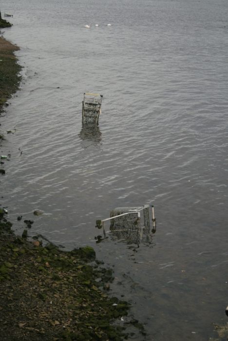 Winkelkarren in water