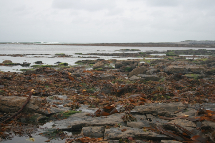 Inishmore