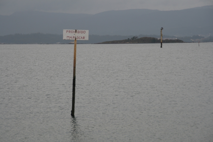 Prohibido mariscar