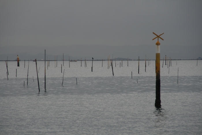 Vilagarcia de Arousa 