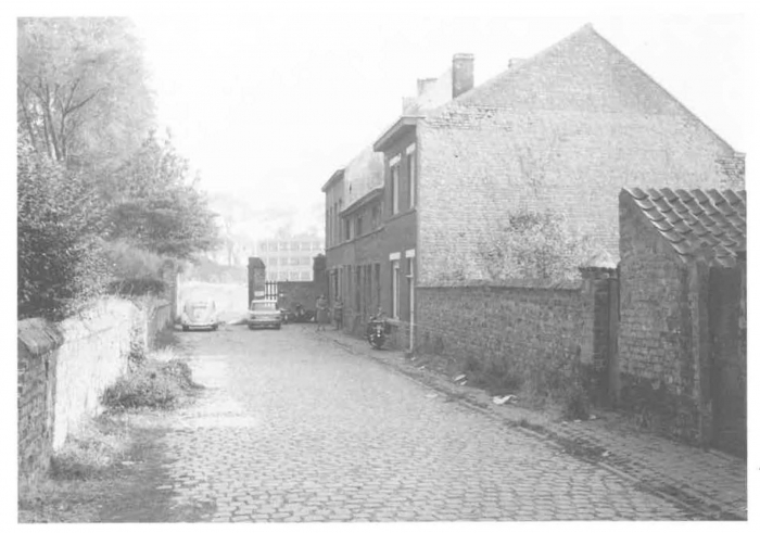 Van Caillie (1987, pl. 184)