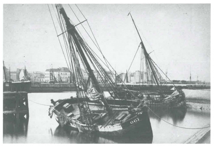 Van Caillie (1989, pl. 10)