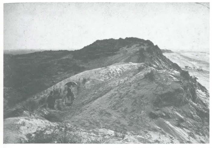 Van Caillie (1989, pl. 15)