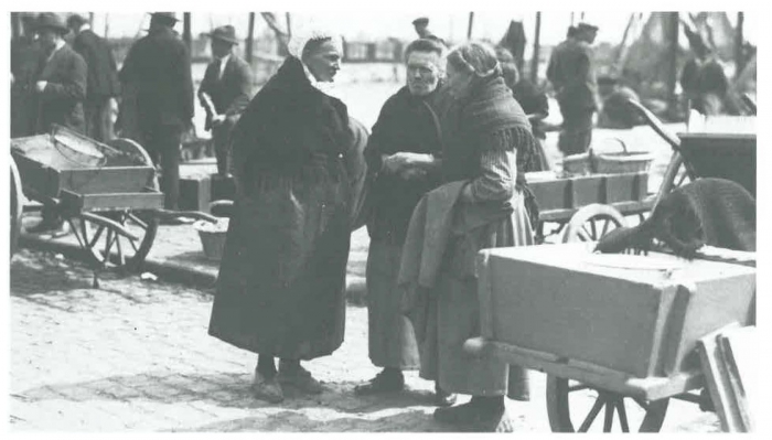 Van Caillie (1989, pl. 108)