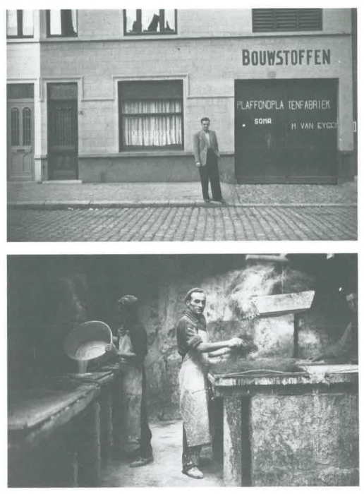 Van Caillie (1989, pl. 147)