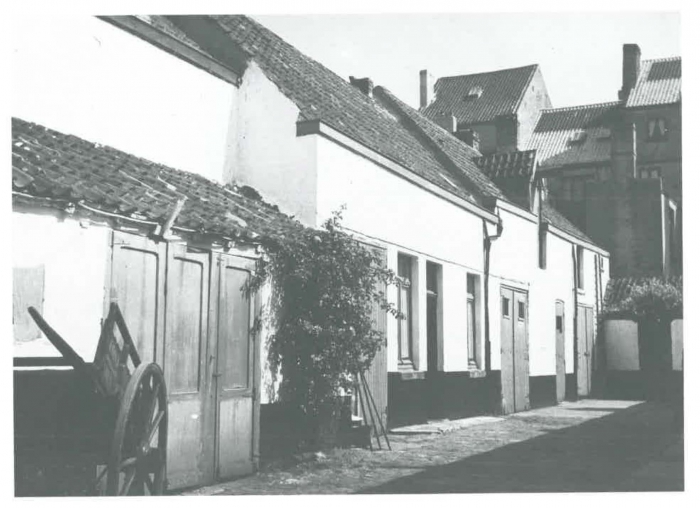 Van Caillie (1989, pl. 177)
