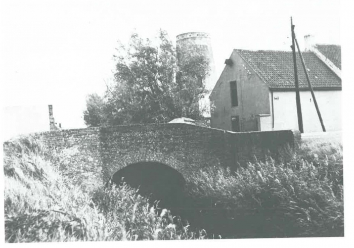 Van Caillie (1989, pl. 199)